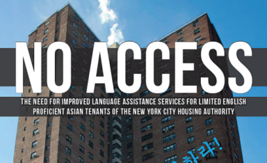 nycha_report_thumbnail