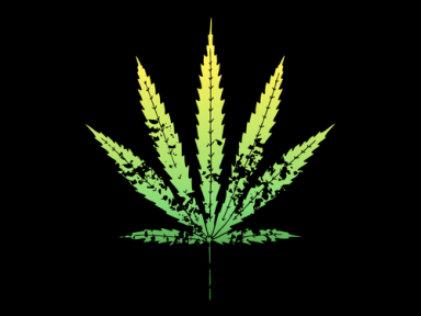 Marijuana Laws Reform (1)