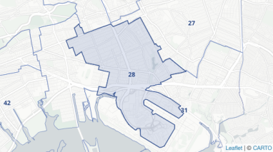 AdrienneAdamsDistrict