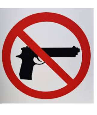 Gun-control-e1562881586614