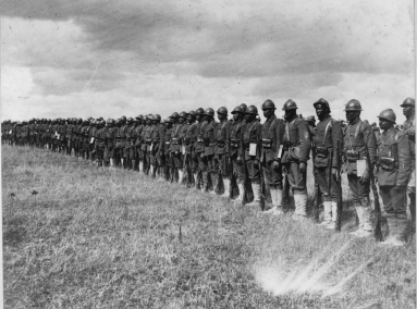 Screen Shot 2021-08-11 at 9.17.55 AM