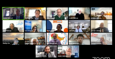 Districting Commission, City Council