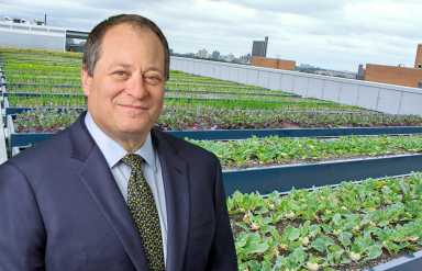 David-Perlstein_Banner